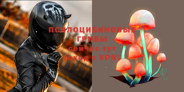 мет Алексин