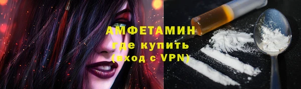 мет Алексин
