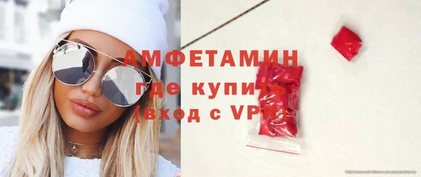 индика Протвино
