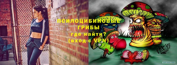 мет Алексин