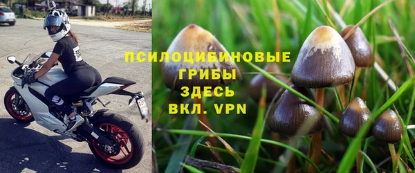 соль курить ск Алзамай