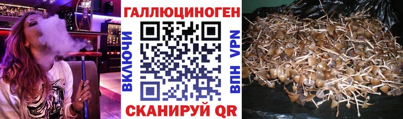 Псилоцибиновые грибы мухоморы  Миньяр 